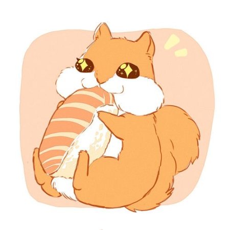 Милые арты белок