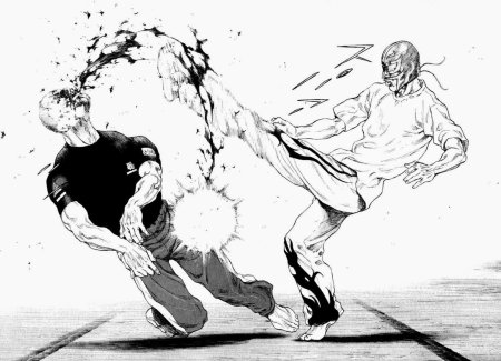 Shamo Манга Art