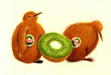 Птица киви и фрукт киви