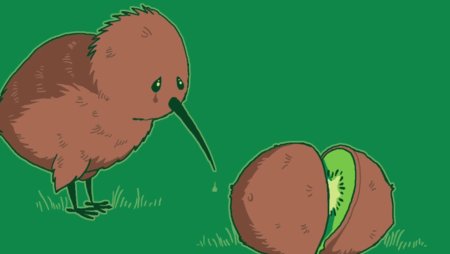 Птичка киви в разрезе