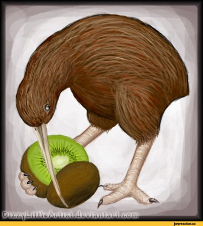 Птица киви ест фрукт киви