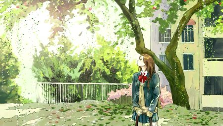 Обои черри блоссом аниме