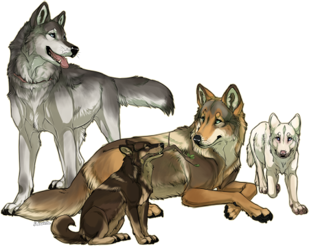 Волки и собаки арты