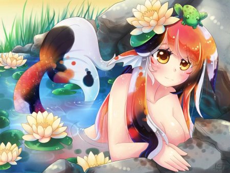 Anime Koi рыбка