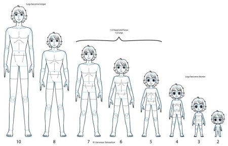 Пропорции тела человека для рисования аниме