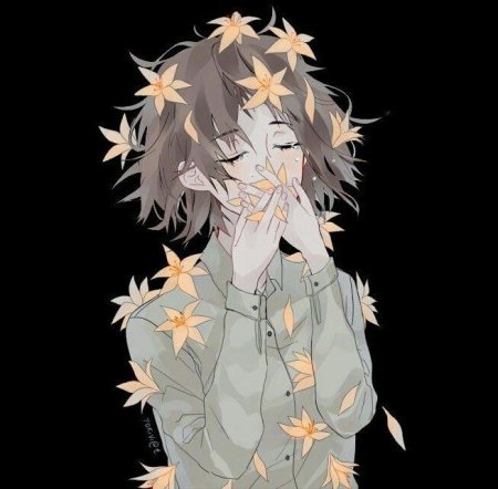 Чуя Накахара ханахаки ликорис