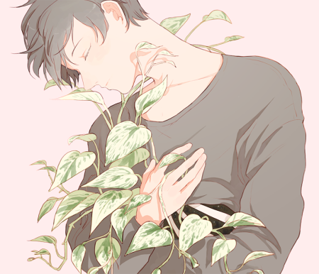 Мидория ханахаки