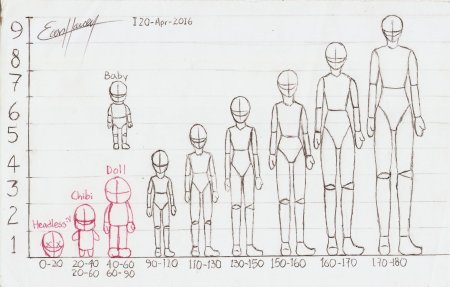 Как нарисовать пропорции человека аниме