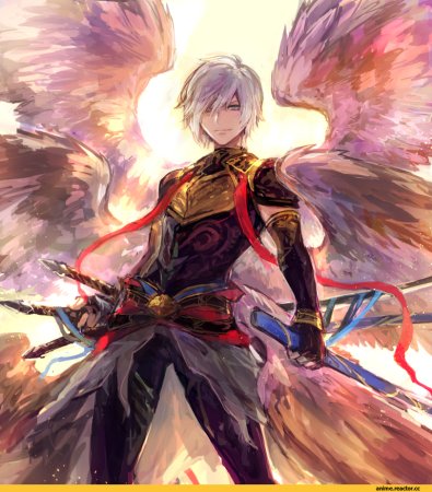 Аниме хроники непобежденного Бахамута