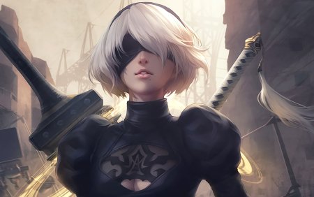 2 B NIER Automata