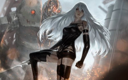 A 2 NIER Automata