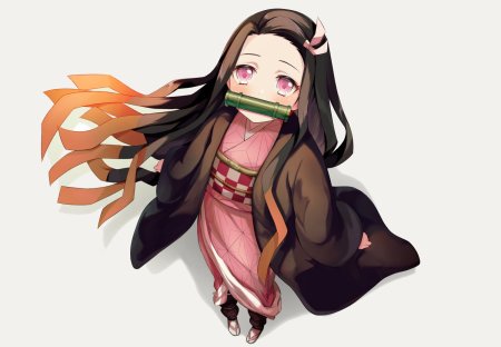 Demon Slayer nezuko Kamado