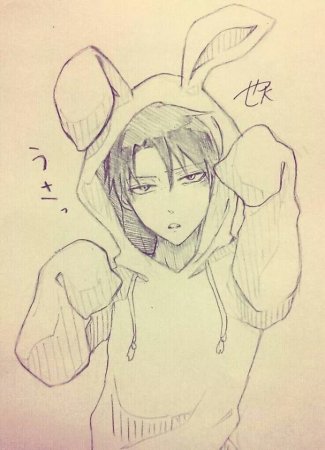 Леви Аккерман зайчик