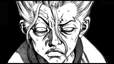 Доктор Стоун сенку черно белый