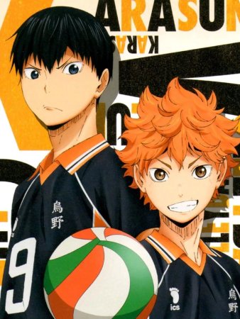 Аниме волейбол Карасуно Хината