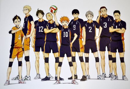Волейбол аниме плакат Карасуно