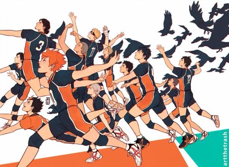 Карасуно Хината Эстетика