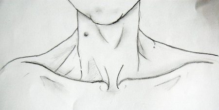 Аниме ключицы