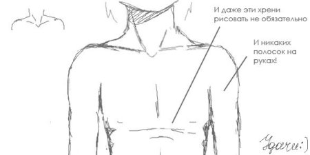 Ключицы карандашом