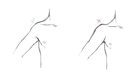 Шея анатомия референс