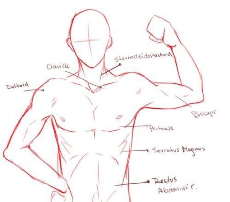 Аниме шея и плечи