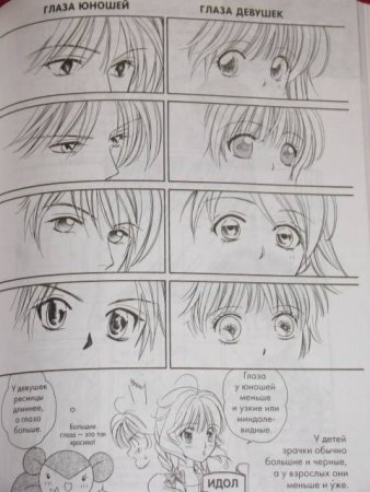 Самоучитель рисования манги
