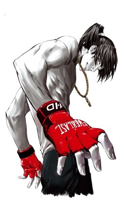 Shamo Манга Art