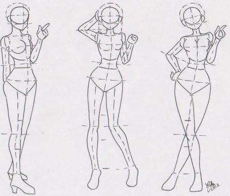 Анатомия человека для рисования