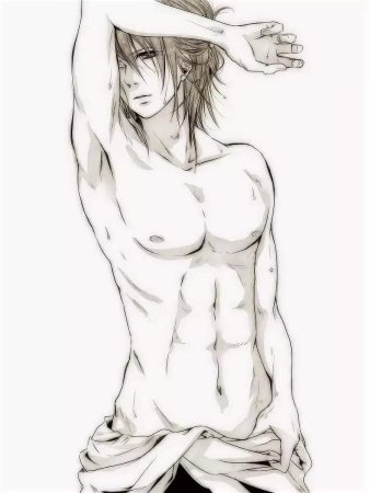 Леви Аккерман торс