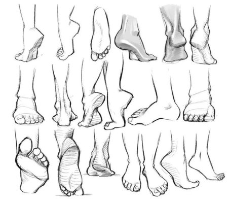 Стопа спереди референс