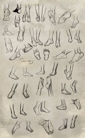 Референсы ступней