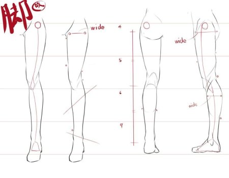 Анатомия ног аниме