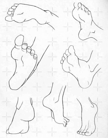 Стопа в разных ракурсах