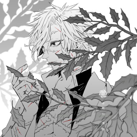 Шиназигава клинок рассекающий демонов