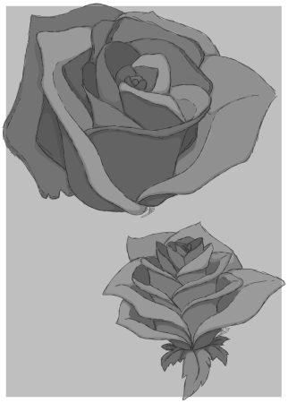 Розы чб аниме