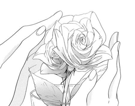 Аниме чб цветы