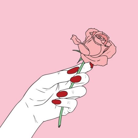 Рука держит розу