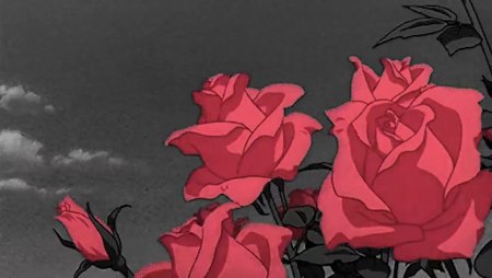Куст роз аниме
