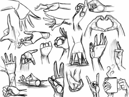 Руки референс анатомия кисти