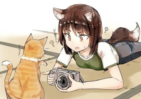 Аниме кошкодевочка