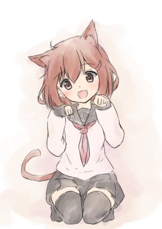Котик тян