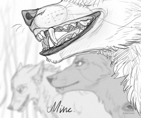 Зубы Волков референс