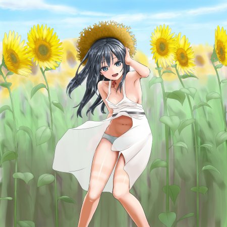 Луизы Нулизы аниме