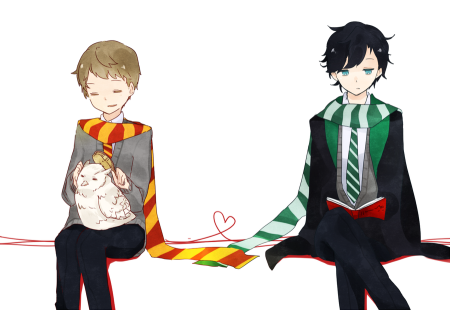 Шерлок и Джон Хогвартс