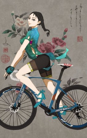 Велосипедные арты