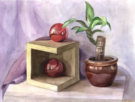 Натюрморт с комнатным растением