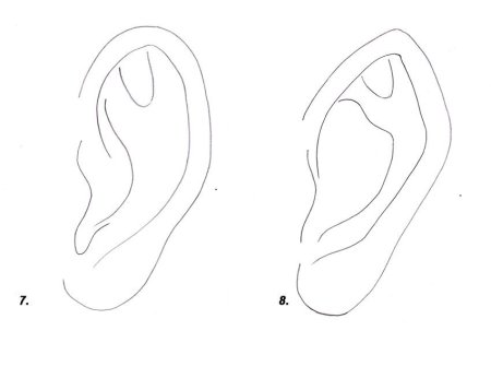 Рисовка ушей
