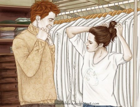 Белла Свон арт по книге