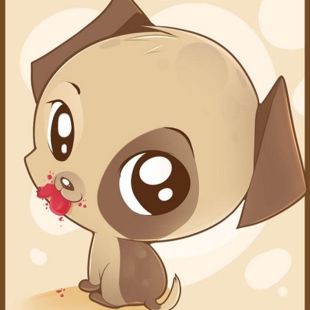 LPS бордер колли