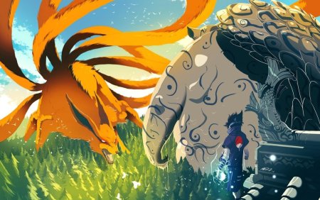 Шукаку и курама